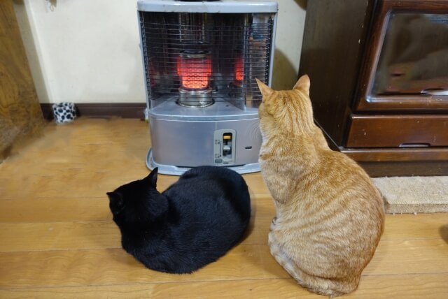 宅配 コメリ 灯油