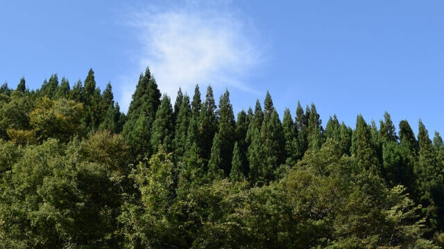 榛名白川