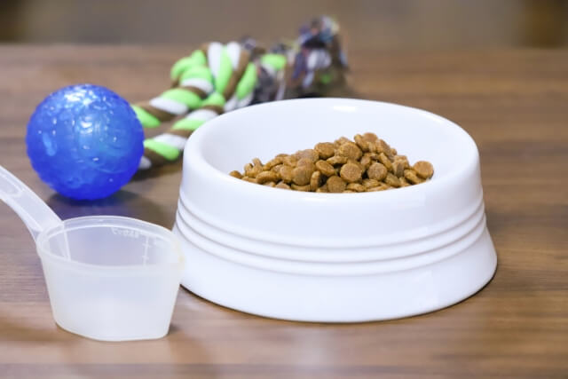 ホームセンターでペット用品の販売価格を比較してランキングにしました 1番安くておすすめの店はここです 元ホームセンター店長の日常